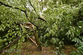 Dzisiaj rządził wiatr