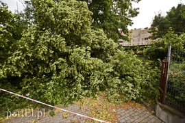 Dzisiaj rządził wiatr