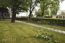 Dzisiaj rządził wiatr