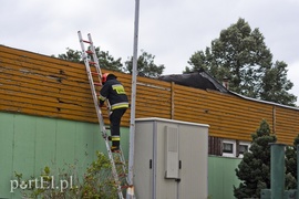 Dzisiaj rządził wiatr