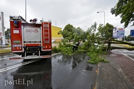 Dzisiaj rządził wiatr