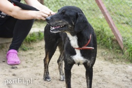 Galeria pod psem i kotem (Odc.7)