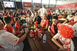 Jęk zawodu w Elbląskiej Strefie Kibica