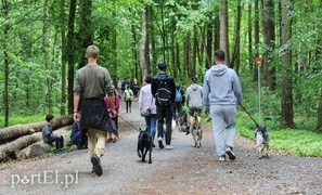 Rekordowy Bieg na Sześć Łap