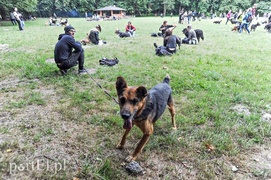 Rekordowy Bieg na Sześć Łap
