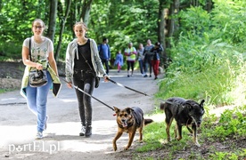 Rekordowy Bieg na Sześć Łap