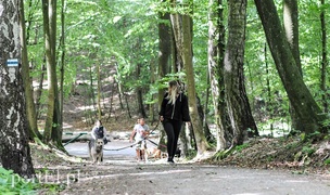 Rekordowy Bieg na Sześć Łap