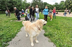 Adopsiaki mają głos