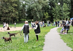 Adopsiaki mają głos