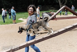 Adopsiaki mają głos