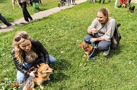 Adopsiaki mają głos