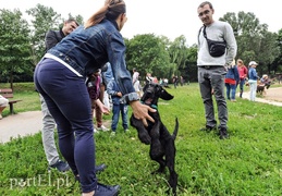 Adopsiaki mają głos