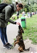 Adopsiaki mają głos