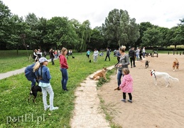 Adopsiaki mają głos
