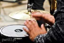 „Polacc” potrafi