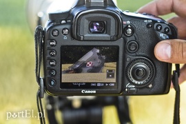 Pod Pasłękiem rozbił się Mig-29. Pilot nie przeżył (aktualizacja)