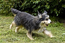 Galeria pod psem i kotem (Odc.9)