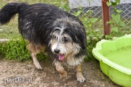 Galeria pod psem i kotem (Odc.9)