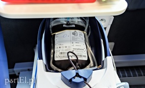 PortEl testuje: Utoczyliśmy sobie krwi