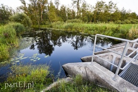 Tragedia w gminie Markusy: utonął mężczyzna