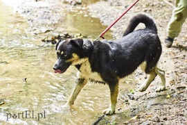 Galeria pod psem i kotem (Odc.12)