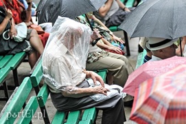 Podróż z Gryfami do lat 60.