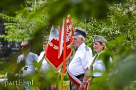 Gloria victis - chwała zwyciężonym