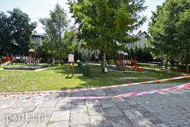 Pszczoły na placu zabaw przedszkola