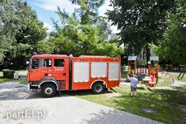 Pszczoły na placu zabaw przedszkola