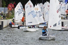 Woda to ich żywioł, teraz są na fali