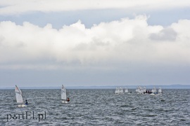 Woda to ich żywioł, teraz są na fali