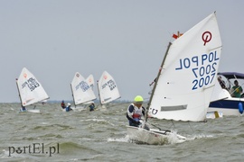 Woda to ich żywioł, teraz są na fali