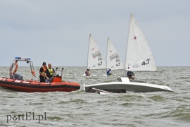 Woda to ich żywioł, teraz są na fali