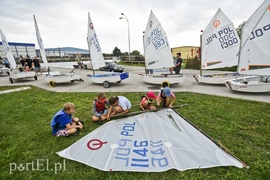 Woda to ich żywioł, teraz są na fali
