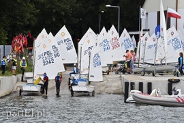 Woda to ich żywioł, teraz są na fali