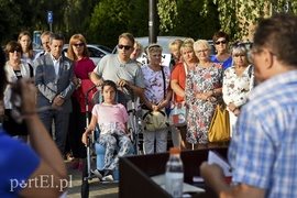 Jedyny taki dąb w Polsce ma nową tablicę