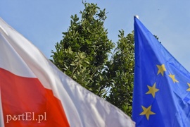 Jedyny taki dąb w Polsce ma nową tablicę