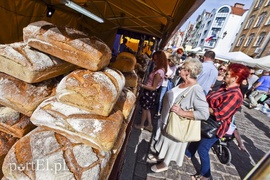 Jak średniowieczni zdobywcy