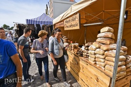 Jak średniowieczni zdobywcy