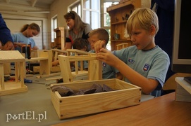 Stawiają na zawodowców