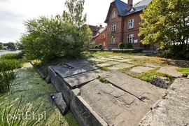 Wśród tych śmieci chodzą dzieci!