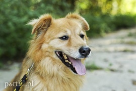 Galeria pod psem i kotem (Odc.20)