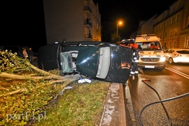 Uderzył w drzewo i jaguar stanął na boku