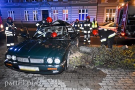 Uderzył w drzewo i jaguar stanął na boku