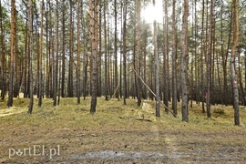 Jak prezes PiS na Mierzei kopał