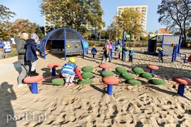 Podwórko talentów jest, ale na jak długo?
