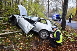 Audi uderzyło w drzewo