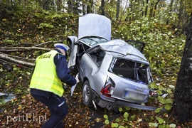 Audi uderzyło w drzewo