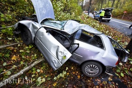 Audi uderzyło w drzewo