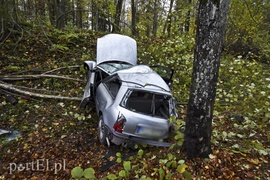 Audi uderzyło w drzewo